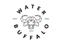 Water Buffalo